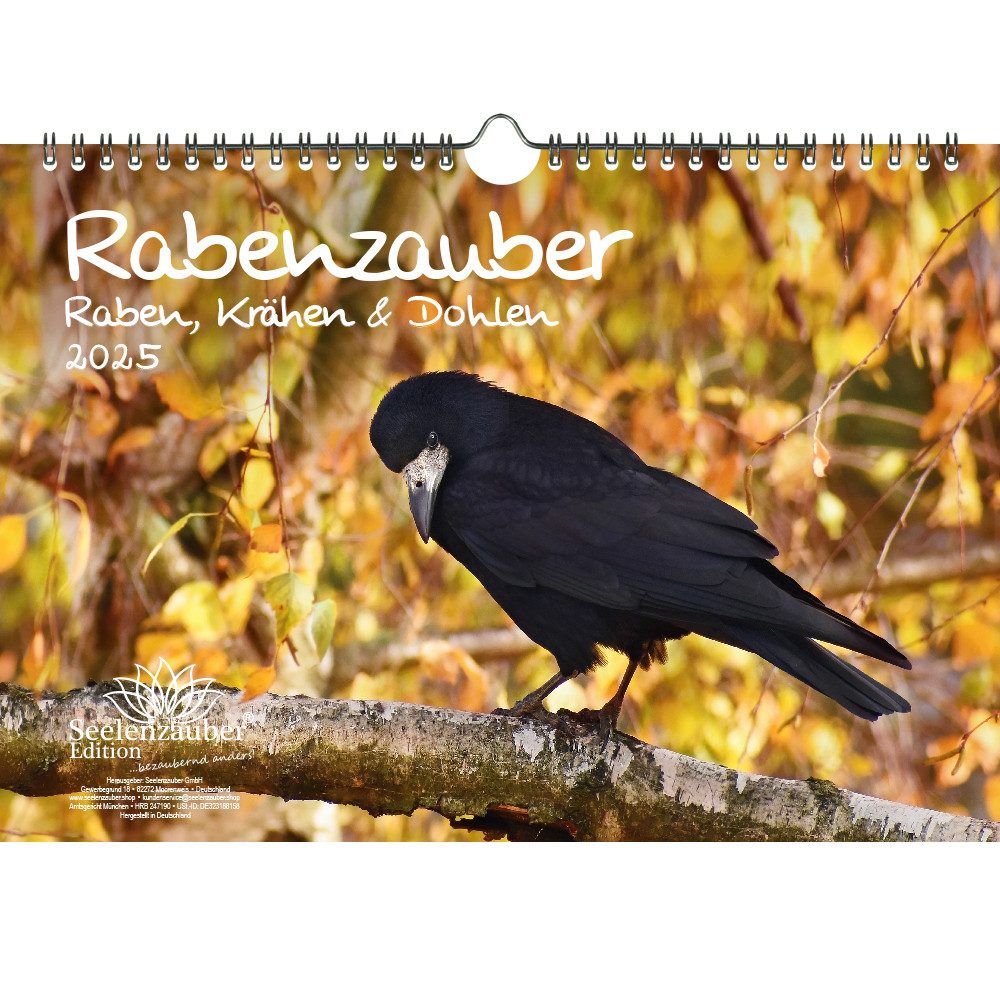 Seelenzauber Wandkalender Rabenzauber Raben, Krähen und Dohlen DIN A4 Kalender für 2025