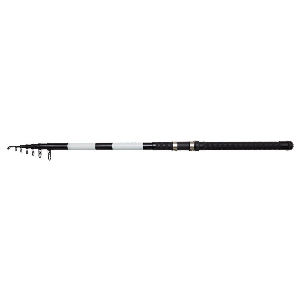 DAM Fishing Posenrute Base-X Tele Stellfisch 16'5" 5,00m 50-100g Stellfischrute Köderfisch, Leistungsstark