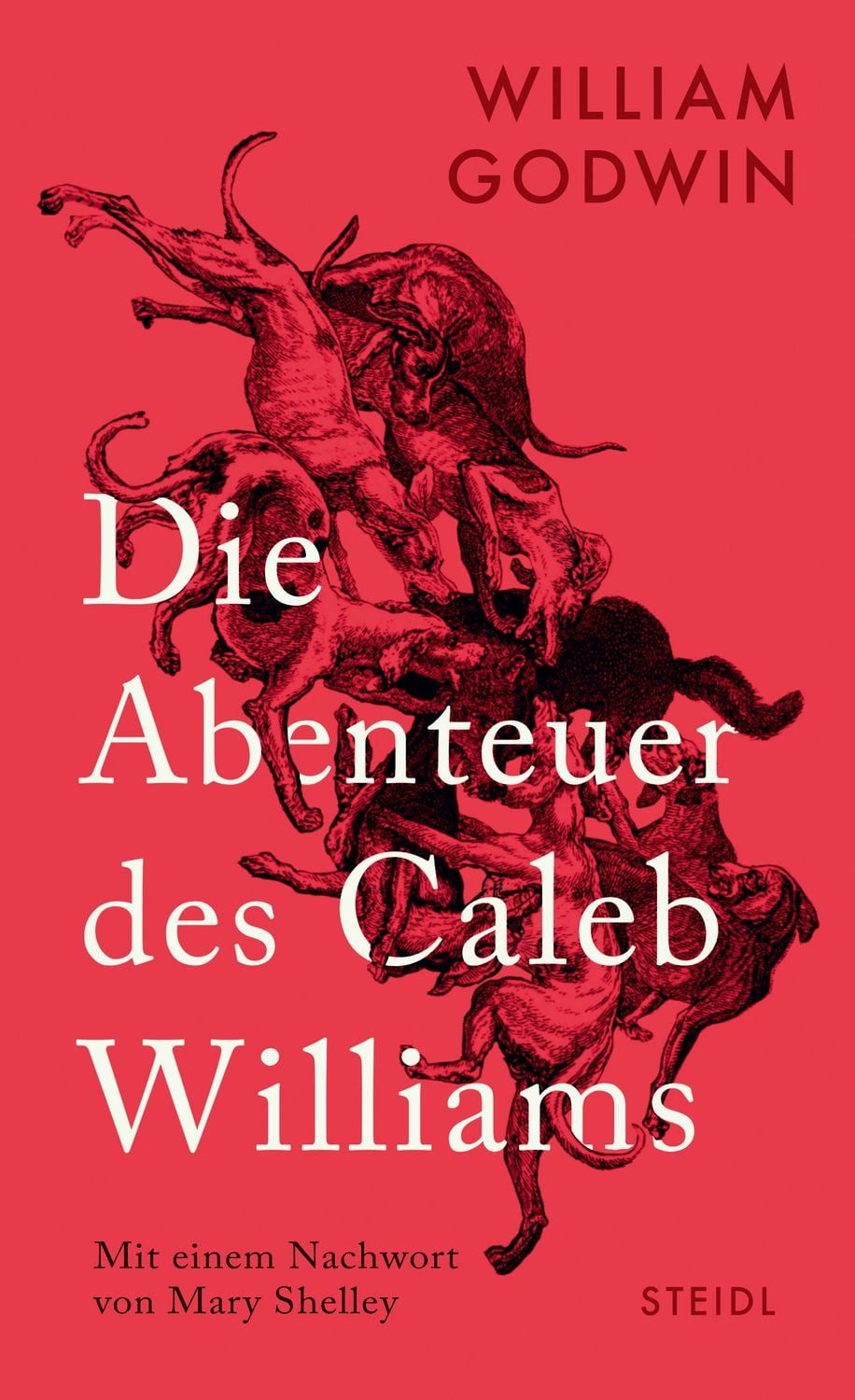 Die Abenteuer des Caleb Williams / William Godwin