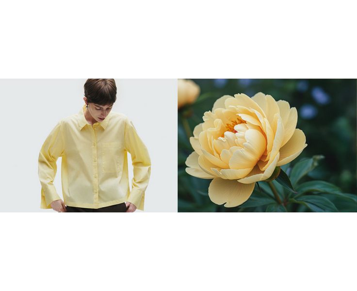 Damen-Mode