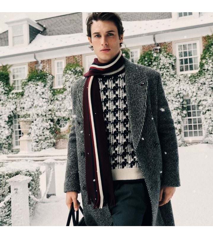 Tommy Hilfiger Herren Highlights